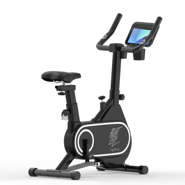 Lifelong LLSBB50 Fit Pro Spin Fitness Upright Stationary Exercise Bike  (Black)